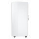 Мобильный кондиционер Hisense AP-09CR4GKWS00